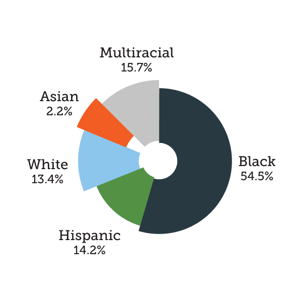 One City Schools » Demographics and Statistics